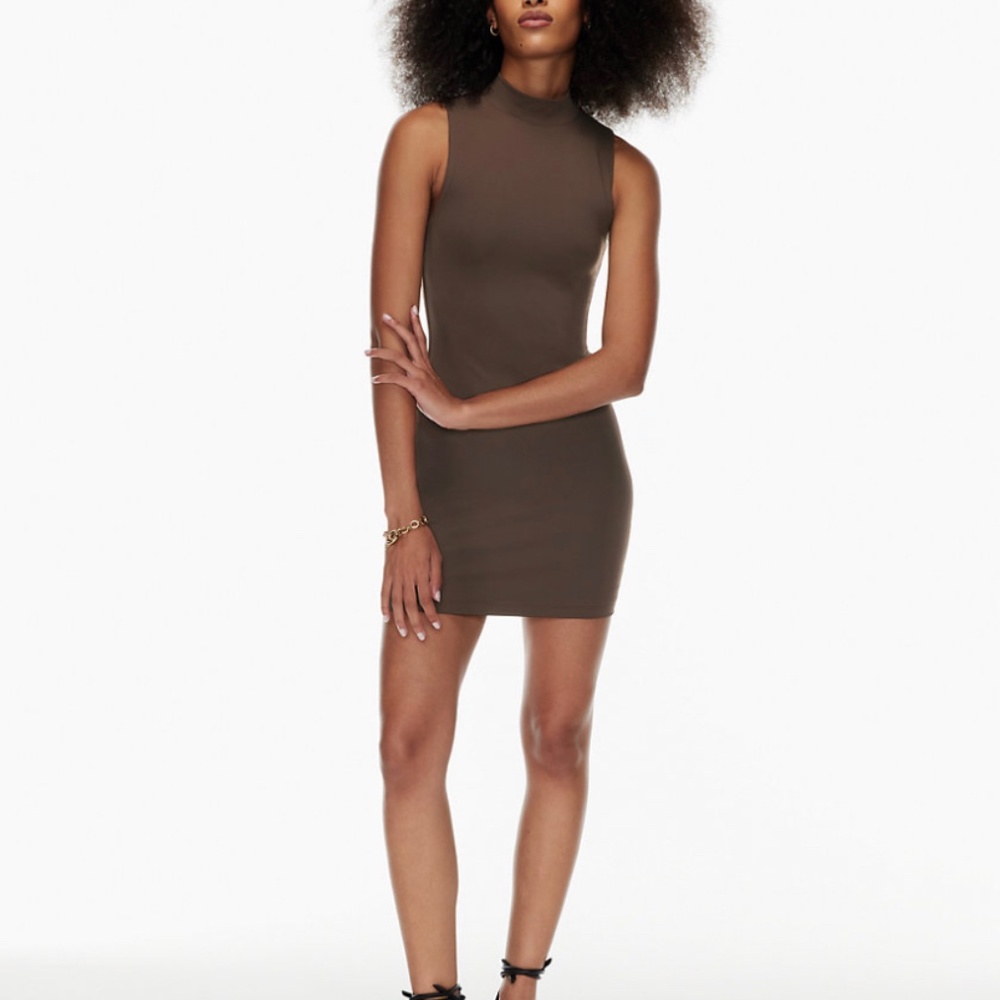 Aritzia Babaton Mockneck Dress